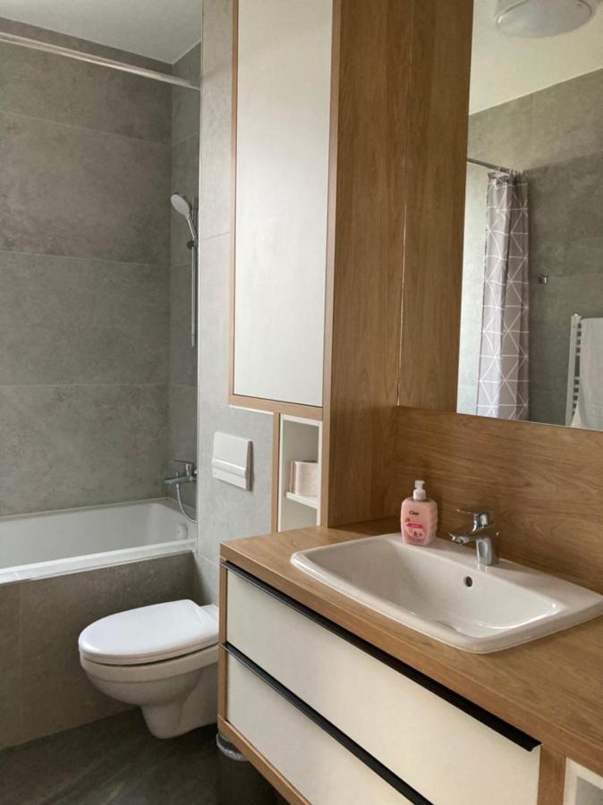 Papillon Apartment #6 Dumbravita  Εξωτερικό φωτογραφία